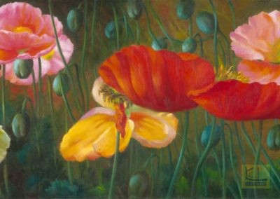 Poppies I  20"x60"