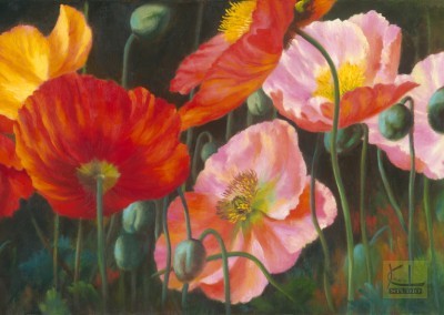 Poppies II  20"x60"