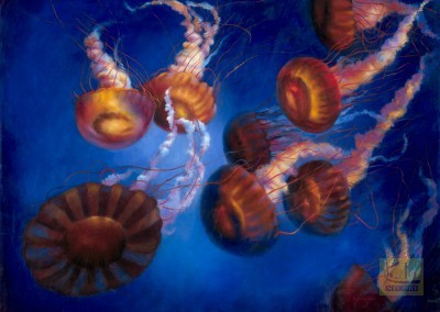 Jellyfish  36"x48"