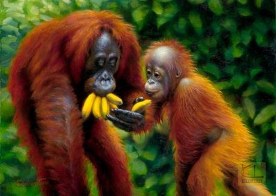 Orangutans  12"x16"